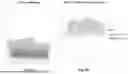 Fig. 02 - ANTIBODY-EVADING VIRUS VECTORS