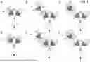 Fig. 02 - ANTIBODIES BINDING TO CD3