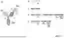 Fig. 06 - ANTIBODIES BINDING TO CD3