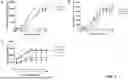 Fig. 09 - ANTIBODIES BINDING TO CD3