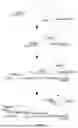 Fig. 04 - PROMOTION SYSTEM FOR CELLULAR PROTEIN SYNTHESIS AND USE THEREOF