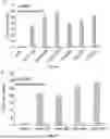 Fig. 08 - PROMOTION SYSTEM FOR CELLULAR PROTEIN SYNTHESIS AND USE THEREOF