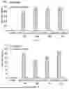 Fig. 09 - PROMOTION SYSTEM FOR CELLULAR PROTEIN SYNTHESIS AND USE THEREOF
