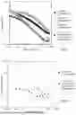 Fig. 02 - COMPOSITIONS AND SYSTEMS FOR ELASTIC TURBULENCE
