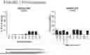 Fig. 746 - ADENOSINE NUCLEOBASE EDITORS AND USES THEREOF