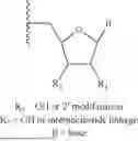 Fig. 07 - GUIDE RNA WITH CHEMICAL MODIFICATIONS