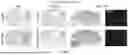 Fig. 167 - RIBOZYME-ASSISTED CIRCULAR RNAS AND COMPOSITIONS AND METHODS OF USE THEREOF
