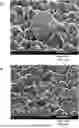 Fig. 01 - ELECTRODEPOSITED COPPER FOIL WITH A UNIFORM MATTE SURFACE