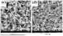 Fig. 22 - METHOD OF MAKING FLEXIBLE TRANSDUCERS