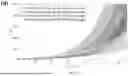 Fig. 40 - METHOD OF MAKING FLEXIBLE TRANSDUCERS