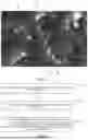 Fig. 04 - ANTI-REFLECTIVE FILMS, METHODS FOR PREPARING THE SAME, AND DISPLAY PANELS