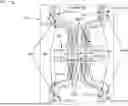 Fig. 01 - PHOTONIC ELEMENT AND NETWORK OF PHOTONIC ELEMENTS