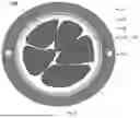 Fig. 02 - COMPACT ARMORED INTERMITTENTLY BONDED RIBBON CABLES