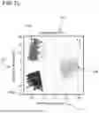 Fig. 10 - FACE AUTHENTICATION INCLUDING MATERIAL DATA EXTRACTED FROM IMAGE
