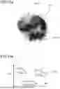 Fig. 13 - FACE AUTHENTICATION INCLUDING MATERIAL DATA EXTRACTED FROM IMAGE