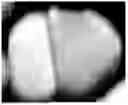 Fig. 01 - Positive Electrode Active Material and Method for Producing the Same