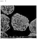 Fig. 05 - Positive Electrode Active Material and Method for Producing the Same