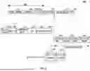 Fig. 05 - PROCEDURES FOR HIGH EFFICIENCY ACKNOWLEDGEMENT TRANSMISSION