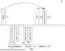 Fig. 11 - PROCEDURES FOR HIGH EFFICIENCY ACKNOWLEDGEMENT TRANSMISSION