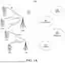 Fig. 02 - TRANSMISSION AND RECEPTION OF PHYSICAL DOWNLINK CONTROL CHANNELS