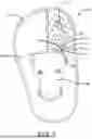 Fig. 02 - Pet Collar Device
