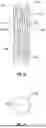 Fig. 43 - PROSTHETIC VALVES FOR DEPLOYMENT