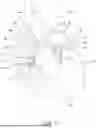 Fig. 02 - PROSTHETIC VALVE WITH SUPPORT ARMS