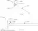 Fig. 18 - SYSTEMS, APPARATUS, AND METHODS FOR PLACING AND/OR CONFIRMING A LOCATION OF AN END OF A NASOGASTRIC OR AN OROGASTRIC TUBE