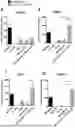 Fig. 01 - TARGETED DELIVERY OF MODIFIED RNA