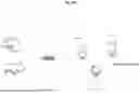 Fig. 06 - COMPOSITIONS AND METHODS FOR EXPRESSING THERAPEUTICS