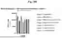 Fig. 22 - COMPOSITIONS AND METHODS FOR EXPRESSING THERAPEUTICS
