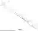 Fig. 02 - INTRODUCTION DEVICE INCLUDING AN ELECTROACTIVE TIP ON A GUIDEWIRE