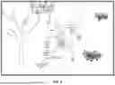 Fig. 07 - SYSTEMS AND METHODS FOR INTELLIGENTLY ENGAGING MULTIPLE BRAKES