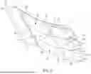 Fig. 10 - SEATING ASSEMBLY FOR AN AIRCRAFT