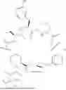 Fig. 22 - COMPOUNDS THAT PARTICIPATE IN COOPERATIVE BINDING AND USES THEREOF