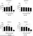 Fig. 03 - ANTIMICROBIAL PEPTIDES
