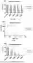 Fig. 12 - ANTIMICROBIAL PEPTIDES