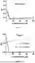 Fig. 16 - ANTIMICROBIAL PEPTIDES