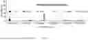 Fig. 22 - ANTIMICROBIAL PEPTIDES