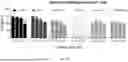 Fig. 23 - ANTIMICROBIAL PEPTIDES