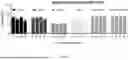 Fig. 24 - ANTIMICROBIAL PEPTIDES