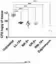 Fig. 33 - ANTIMICROBIAL PEPTIDES