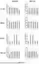 Fig. 37 - ANTIMICROBIAL PEPTIDES