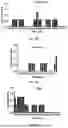 Fig. 40 - ANTIMICROBIAL PEPTIDES