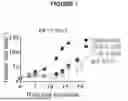 Fig. 02 - MODIFIED T CELLS AND USES THEREOF