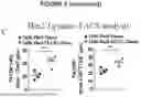 Fig. 06 - MODIFIED T CELLS AND USES THEREOF