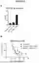 Fig. 07 - MODIFIED T CELLS AND USES THEREOF