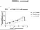 Fig. 08 - MODIFIED T CELLS AND USES THEREOF