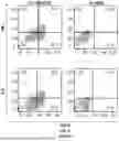 Fig. 09 - T CELL RECEPTORS WITH MAGE-B2 SPECIFICITY AND USES THEREOF
