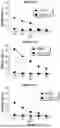Fig. 14 - T CELL RECEPTORS WITH MAGE-B2 SPECIFICITY AND USES THEREOF
